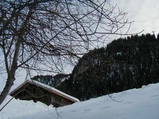 Le chalet vu des pistes